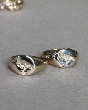 Heavyweight Pigeon Signet with Pink Sapphire - 9ct Gold