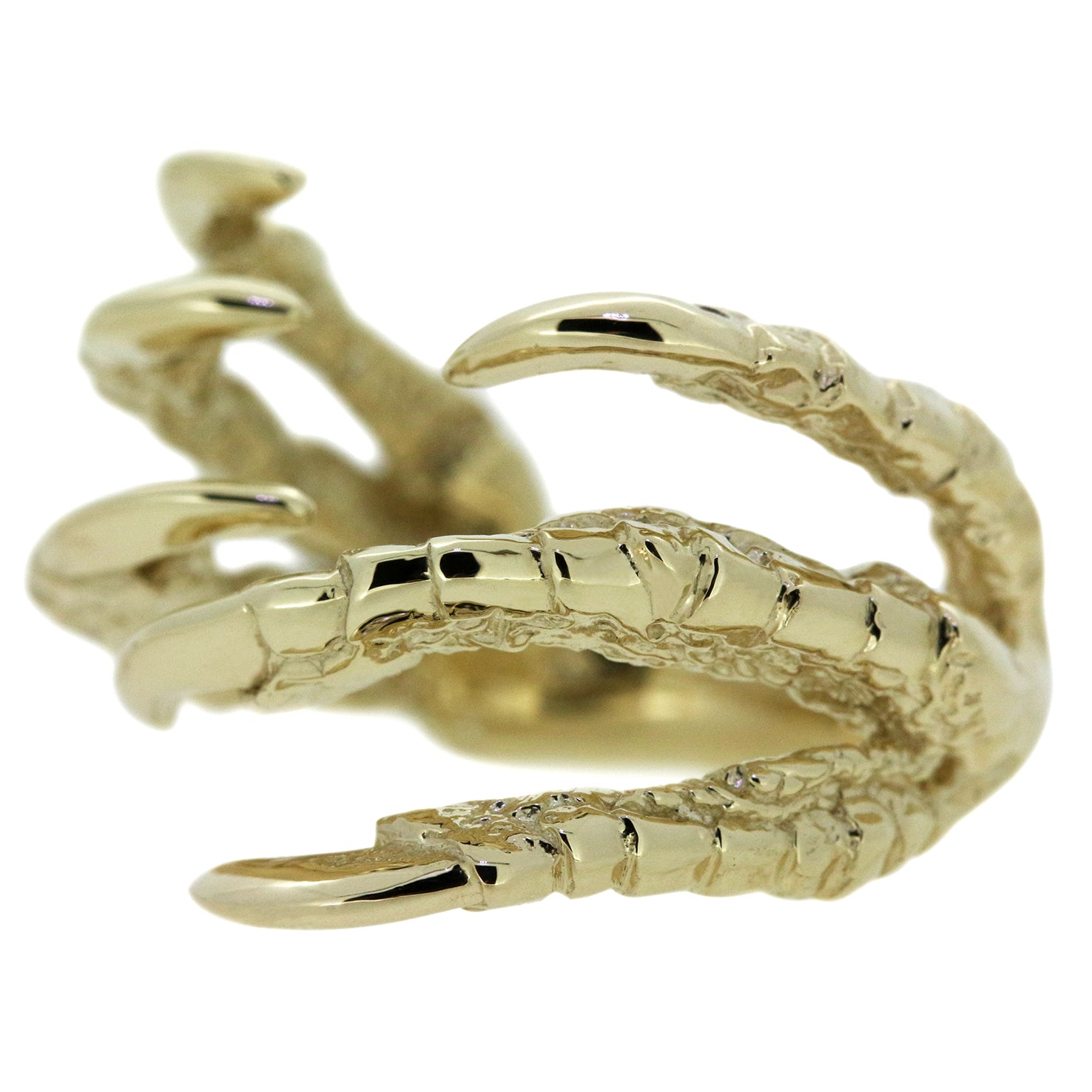 Pigeon Grasp - 9ct Gold